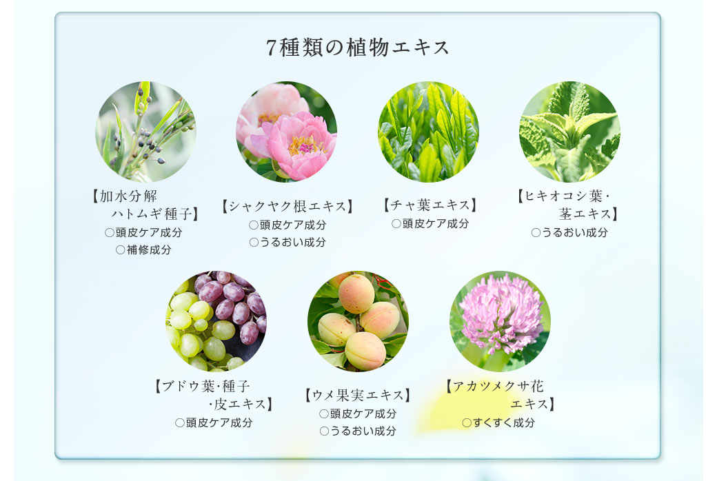 ７種の植物エキス